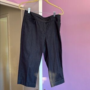 Ann Taylor Factory Black Capris